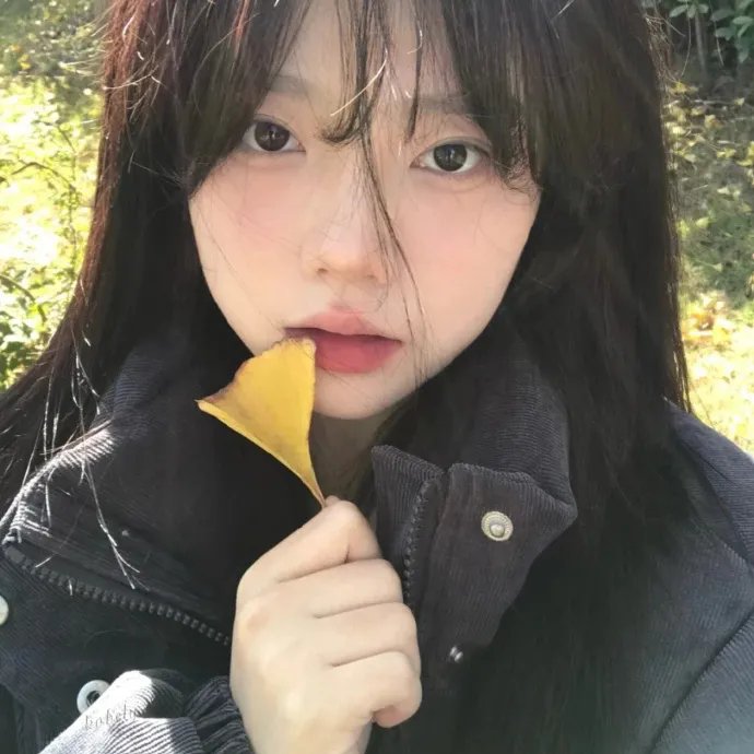 香车美人